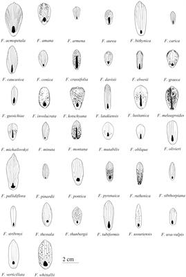 Functional Diversity of Nectary Structure and Nectar Composition in the Genus Fritillaria (Liliaceae)